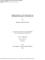 three essays in international macroeconomics and finance
