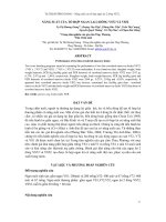 Năng suất của tổ hợp Ngan lai 2 dòng VS72 và VS52