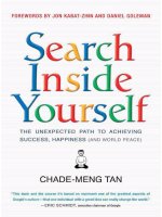 search inside yourself the unexpected path to achieving success happiness - chade-meng tan