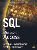 sql for microsoft access