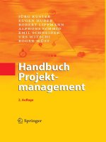 kuster, u.a., handbuch projektmanagement (2008)