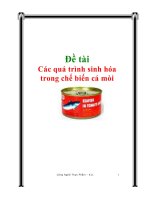 đề tài các quá trình sinh hóa trong chế biến cá mòi