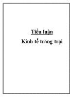 Tiểu luận: Kinh tế trang trại hình thức kinh tế trang trại tăng nhanh về số lượng với nhiều thành phần kinh tế tham gia