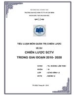Tiểu luận môn quản trị chiến lược: Chiến lược SCTV trong giai đoạn 2010  2020