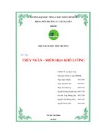 đề tài thủy ngân hiểm họa khó lường