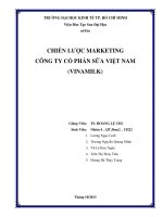 Chiến lược marketing công ty cổ phần sữa việt nam (vinamilk)