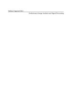 stefano cagnoni  -  evolutionary imageanalysis and signal processing 2009