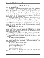 nhà gươl của người cơtu