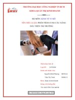 phân tích cung cầu xăng dầu trên thị trường