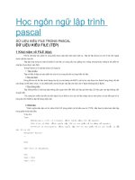 Học ngôn ngữ lập trình pascal