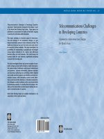 telecommunications challenges in developing countries