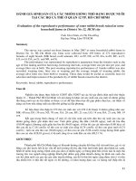 ĐÁNH GIÁ SINH sản của các NHÓM GIỐNG THỎ ĐANG được NUÔI tại các hộ cá THỂ ở QUẬN 12 TP hồ CHÍ MINH