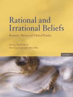 rational and irrational beliefs research theory and clinical practice aug 2009