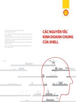 CÁC NGUYÊN tắc KINH DOANH CHUNG của SHELL