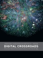 the mit press digital crossroads american telecommunications policy in the internet age mar 2005
