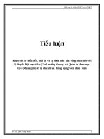 Tiểu luận: Khảo sát sự hiểu biết, thái độ và sự thỏa mãn của công nhân đối với lý thuyết Đặt mục tiêu (Goal setting theory) và Quản trị theo mục tiêu (Management by objectives) trong động viên