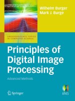 wilhelm burger, mark j. burge  -  principles of digital image processing. advanced methods