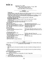 Giáo án tuần 14 lớp 5