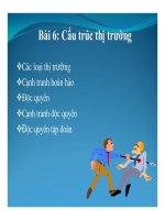 Bài giảng Kinh tế vĩ mô - Bài 6: Cấu trúc thị trường