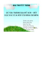 đề tài thánh địa mỹ sơn – nét đặc sắc của nền văn hóa chămpa