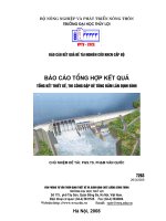 chuyên đề : Báo cáo tổng hợp kết quả tổng kết thiết kế, thi công đập bê tông đầm lăn Bịnh Bình