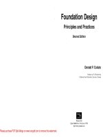 Foundation Design Principles and Practices