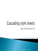 Căn bản về casding stype sheets