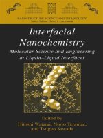 interfacial nanochemistry, 2005, p.327