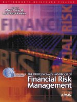 the professional handbook of financial risk management (kpmg)