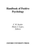 handbook of positive psychology mar 2005