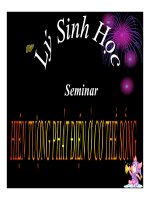 Seminar: Hiện tượng phát điện ở cơ thể sống