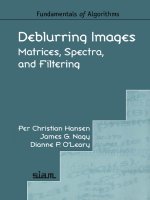 hansen, nagy, oleary  -  deblurring images. matrices, spectra and filtering