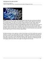 Khám phá mới về tơ nhện và tơ tằm