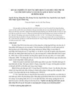 Kết quả nghiên cứu đáp ứng miễn dịch của đà điểu châu phi với vaccine newcastle và xây dựng sử dụng vaccine để phòng bệnh