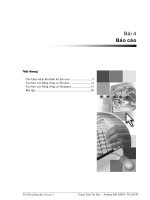 Giáo trinh tin học -  Báo cáo