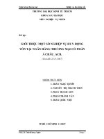 Tiểu luận nghiệp vụ ngân hàng thương mại: Giới thiệu một số nghiệp vụ huy động vốn tại ngân hàng thương mại cổ phầN Á Châu ACB