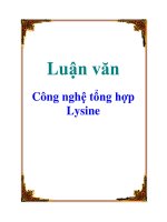 luận văn công nghệ tổng hợp lysine