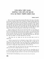 Văn hóa Vệt Nam, những vần đề cấp bách của sự phát triển hiện đại