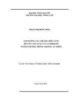 ảnh hưởng của chế độ chiếu sáng đến sức sản xuất của gà broiler nuôi ở chuồng thông thoáng tự nhiên
