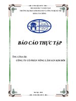 Báo cáo thực tập: Công ty cổ phần nông lâm sản Kim Bôi