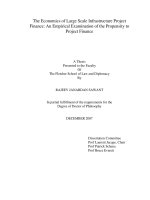 the economics of large scale infrastructure project finance an empirical examination of the propensity to project finance