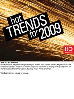 Hot trend in 2009 by Jeff Hester