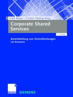 corporate shared services, bereitstellung von dienstleistungen im konzern (2008)