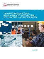 THE EFFECTIVENESS OF WORK HEALTH AND SAFETY INTERVENTIONS BY REGULATORS A LITERATURE REVIEW