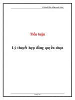 Tiểu luận: Lý thuyết hợp đồng quyền chọn