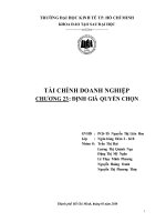 Tiểu luận tài chính doanh nghiệp: Định giá quyền chọn