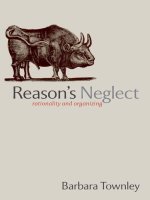 reasons neglect rationality and organizing sep 2008