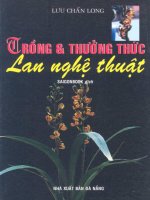 TRỒNG VÀ THƯỞNG THỨC LAN NGHỆ THUẬT