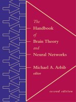 the mit press the handbook of brain theory and neural networks second edition nov 2002