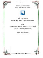 quản trị chất lượng toàn diện trong doanh nghiệp vừa và nhỏ